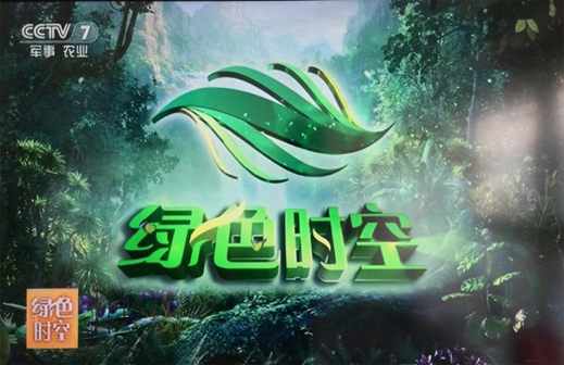 1551860198934826.jpg 绿色时空.jpg