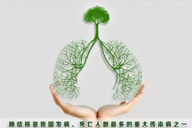 QQ浏览器截图20190516180642.png