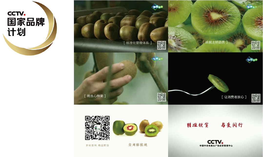 “国家品牌计划”的必然性探讨