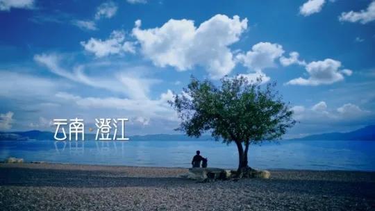 品牌云集,2020总台中秋晚会助力行业标杆传播